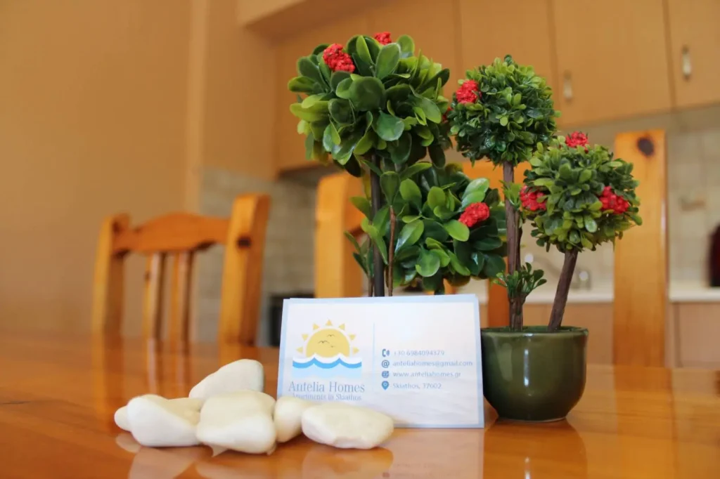 Stay in the most strategic location in Skiathos Town. Antelia Homes location combines the vibrant Skiathos Town with the peace and quiet of the surrounding area, with three apartment options. From couples to families, Antelia Homes caters to everyone's needs, ensuring your comfort during your stay in Skiathos Town.